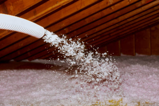 Best Commercial Insulation in Dewitt, AR