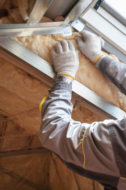 Best Blown-in Insulation in Dewitt, AR