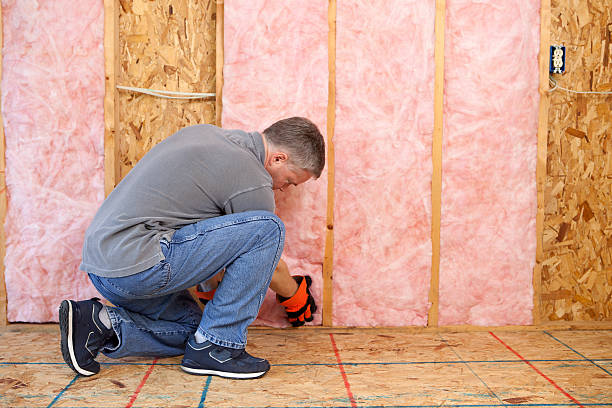 Best Insulation Maintenance and Repair in Dewitt, AR