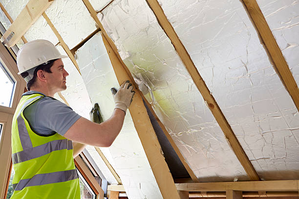 Best Insulation for Specific Applications in Dewitt, AR